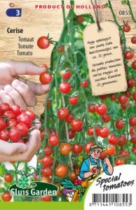 0855 rajcina cherry cerise